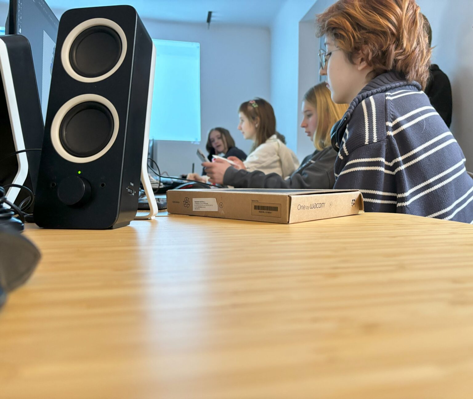 Kurs dla młodzieży w sowa-edu