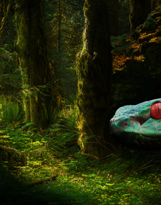 zajęcia Photoshop - Grafika projektowa w sowa-edu