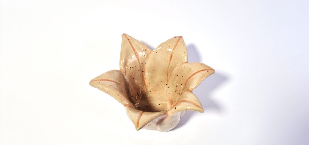 Kursy ceramiki i rzeźby w sowa-edu