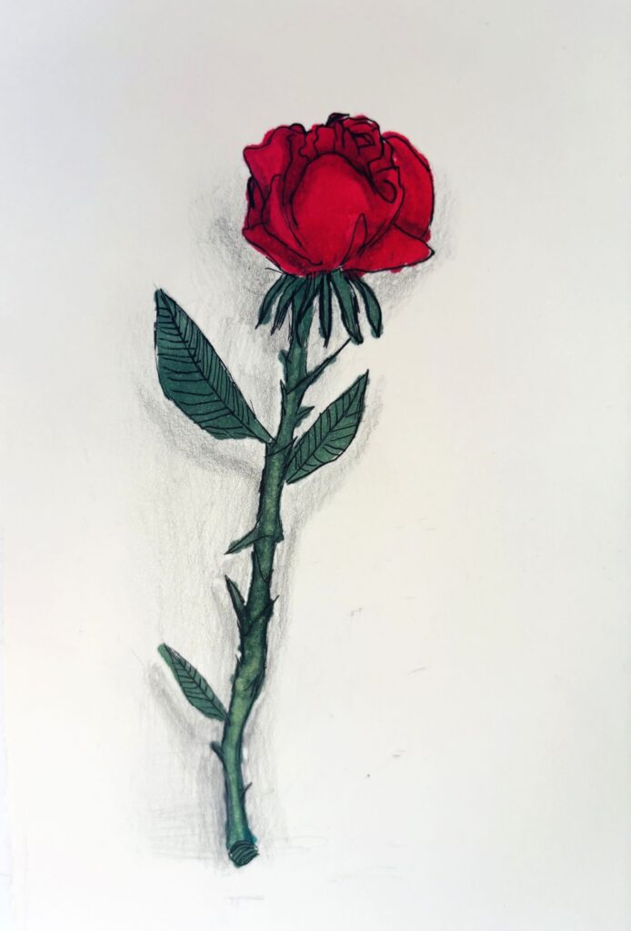 Zajęcia rysunku i malarstwa dla dzieci w pracowni sowa-edu