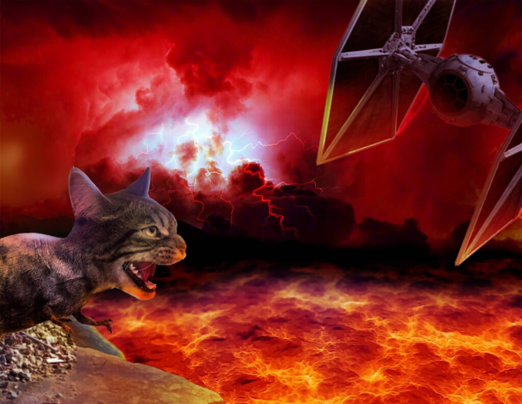 Zajęcia Grafiki projektowej na I roku w sowa-edu