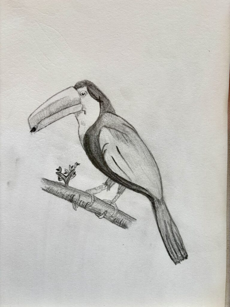 Kurs rysunku i malarstwa dla dzieci w sowa-edu