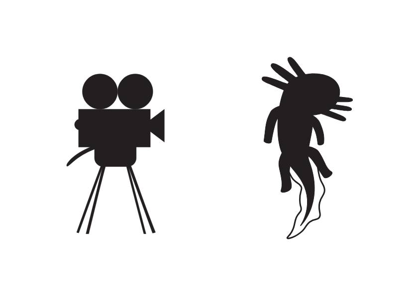 Zajęcia Projektowania znaku - Grafika projektowa w sowa-edu