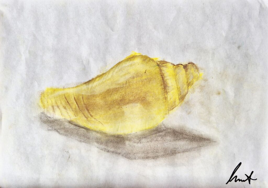 Kurs rysunku i malarstwa dla dzieci w sowa-edu