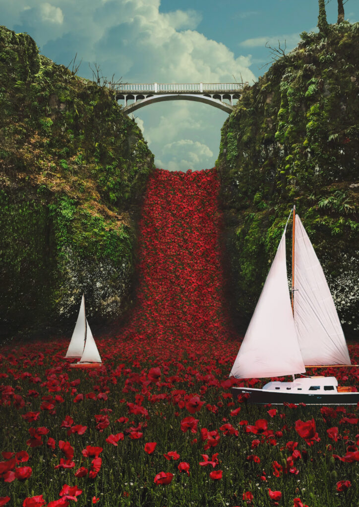 Zajęcia Grafiki projektowej na I roku w sowa-edu