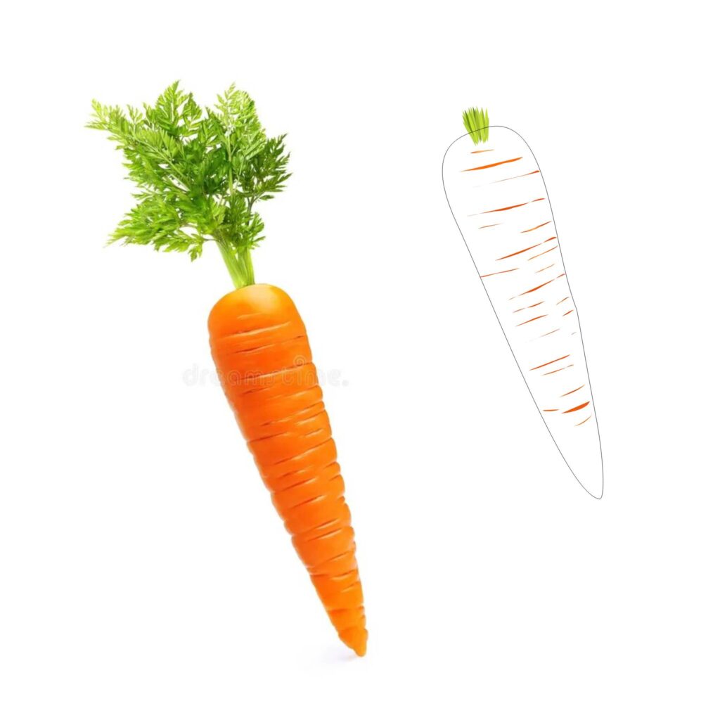 Zajęcia Grafiki projektowej na I roku w sowa-edu