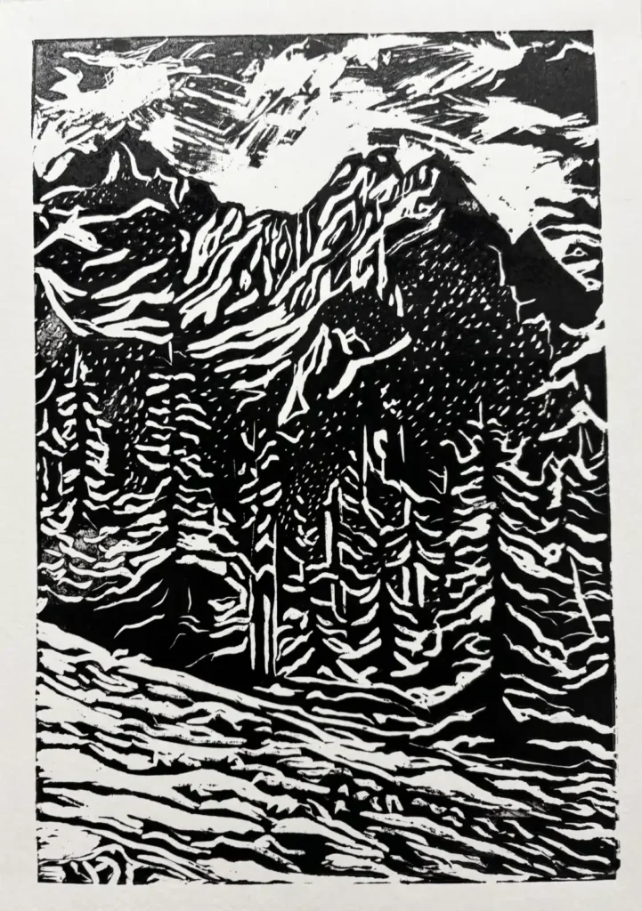 Grafika artystyczna - warsztatowa w sowa-edu