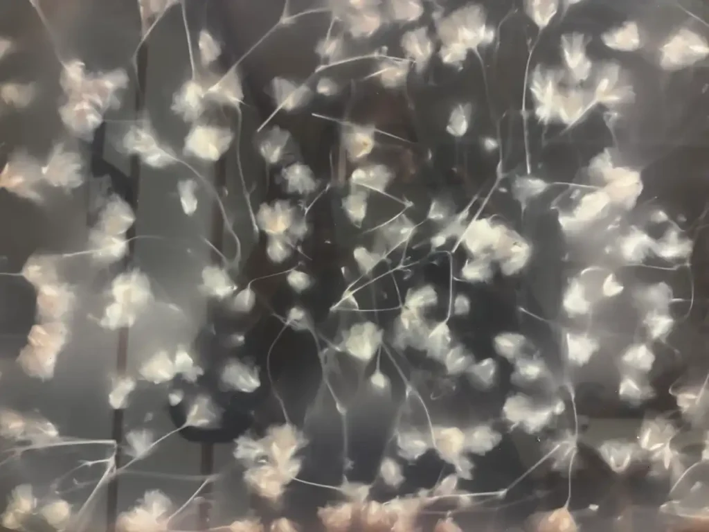 Pracownia grafiki warsztatowej-artystycznej w sowa-edu